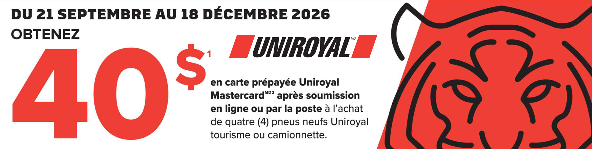  - Magazine Camper