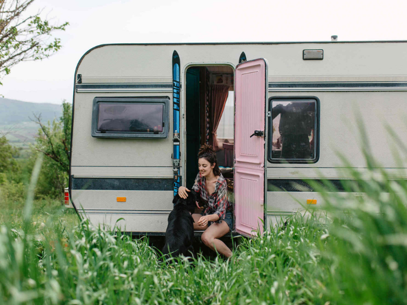 Pour cette occasion seulement les animaux sont acceptés sur le site. - Camping Caravaning