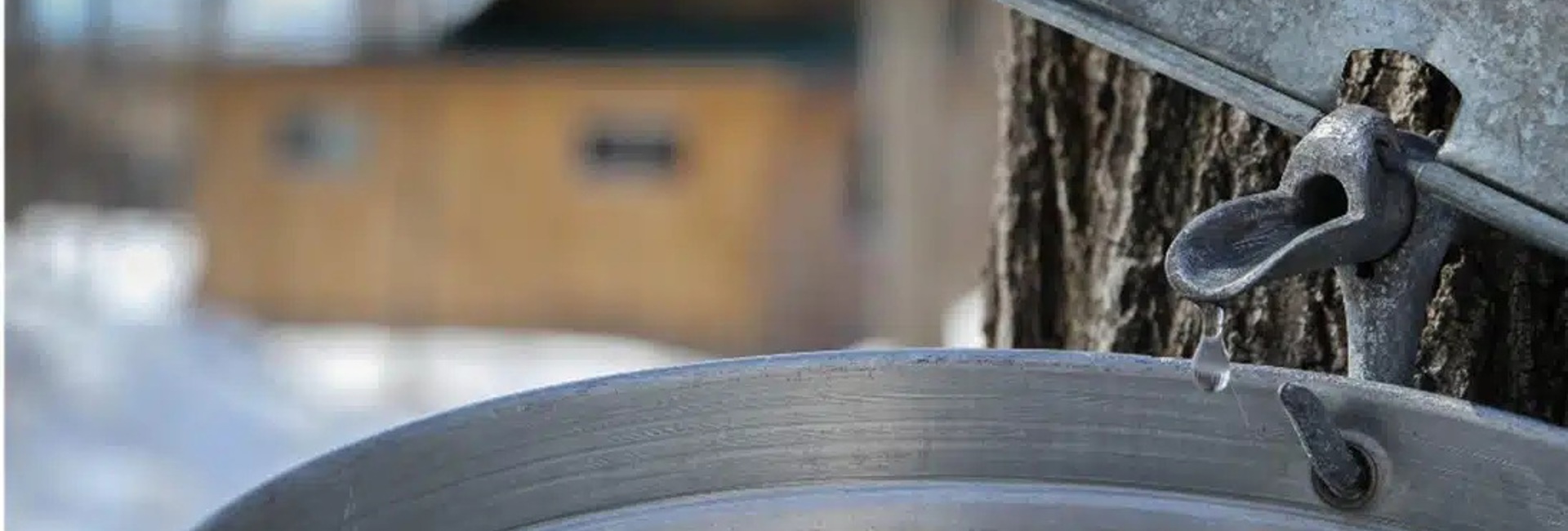 Bannière C’est le temps de se sucrer le bec à la Cabane à sucre Bertrand!