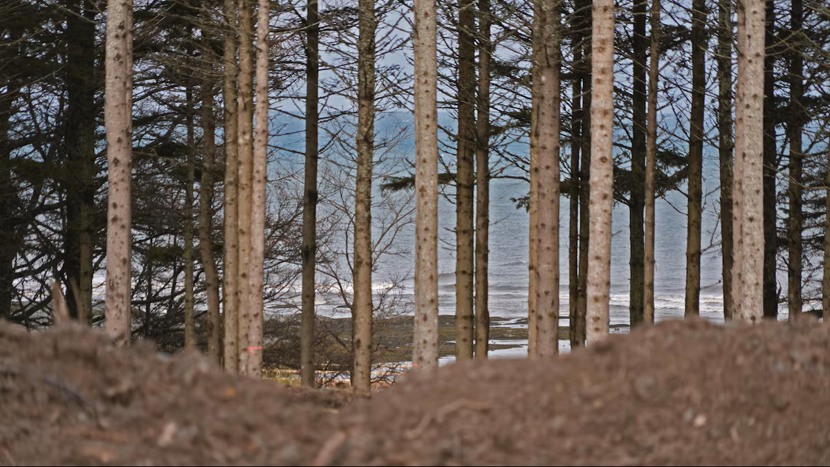  - Magazine Camping Caravaning