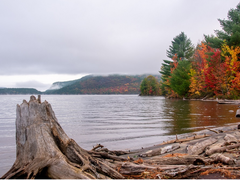 Parc provincial Driftwood - Camping Caravaning