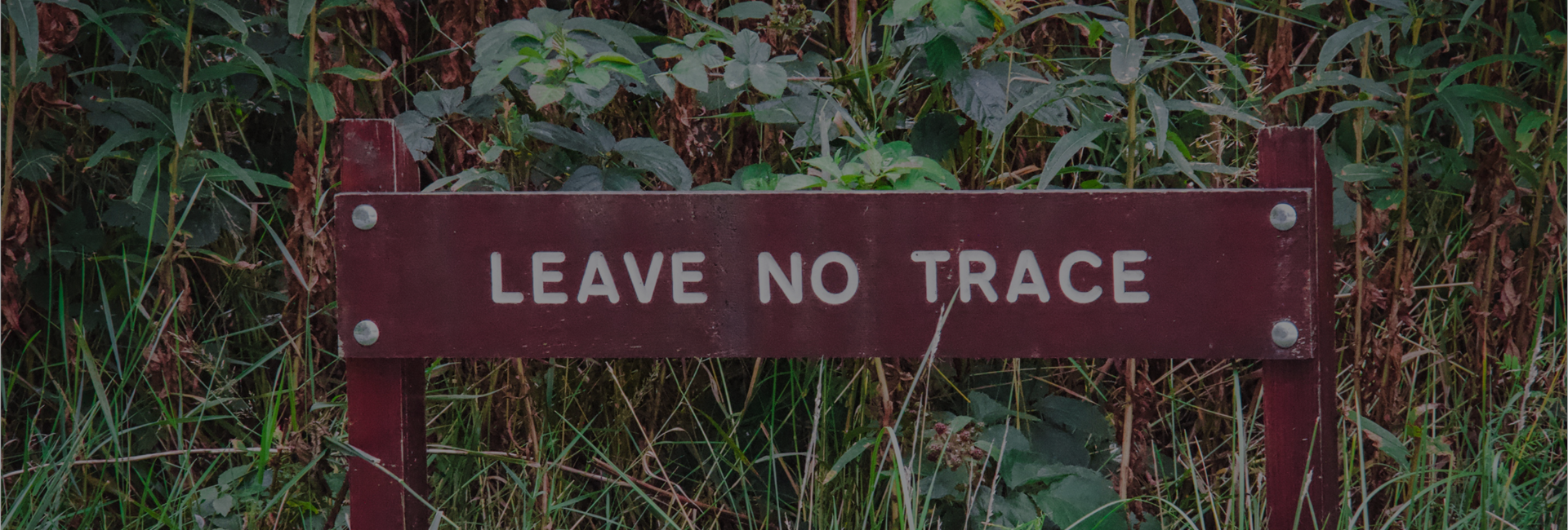 Bannière Camping, caravaning et environnement