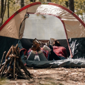 Sous la toile - FQCC Sous la toile - FQCC