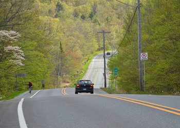 Route 141