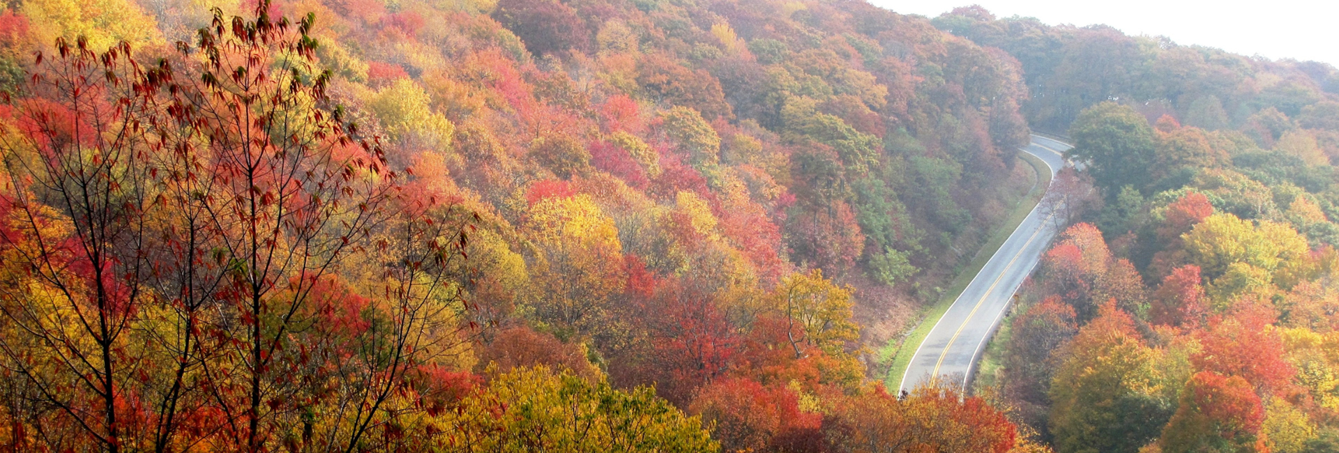 Bannière Où camper cet automne