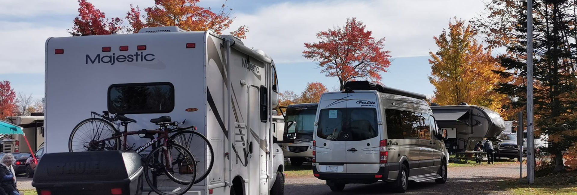 Bannière Conditions générales de vente des activités