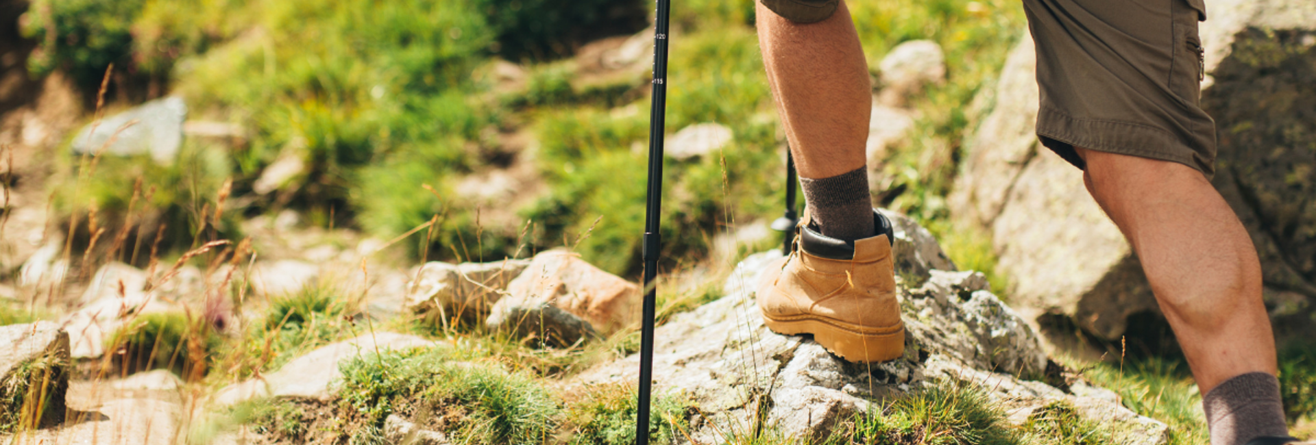 Bannière La vraie nature AGA ARCC-09