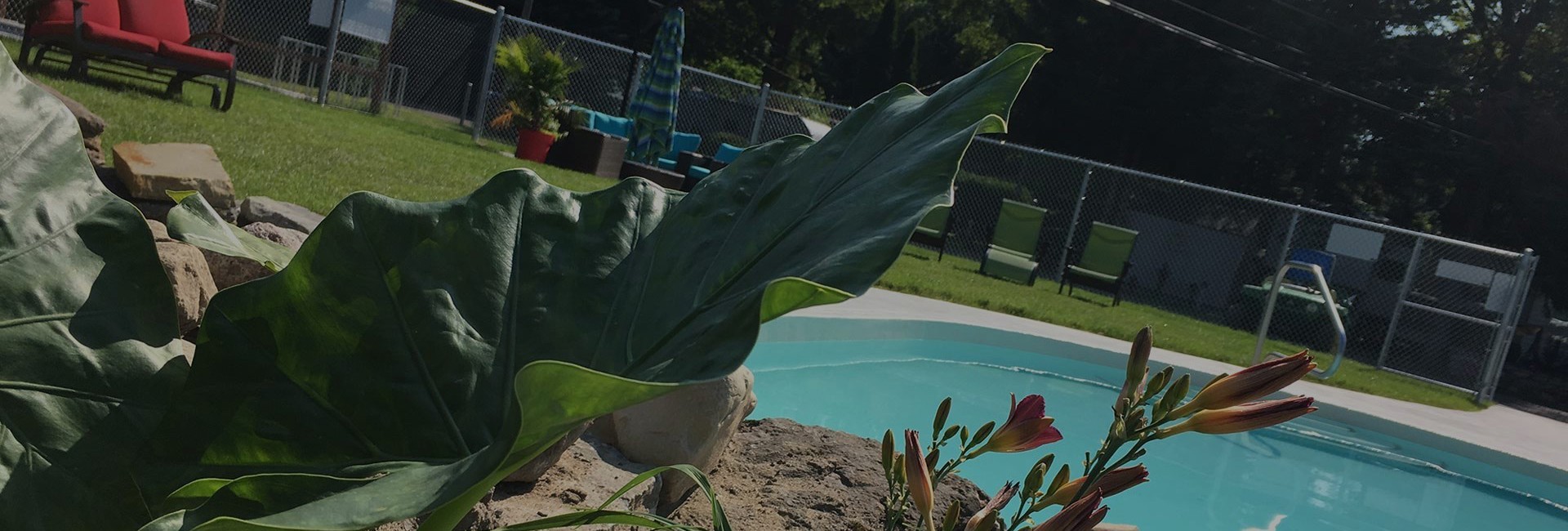 Bannière Inscription - Sur la route des souvenirs